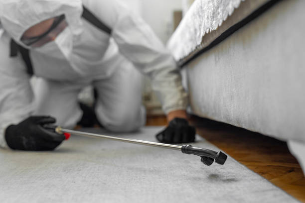 Professional Bed Bug Control technician working in Jackson, TN