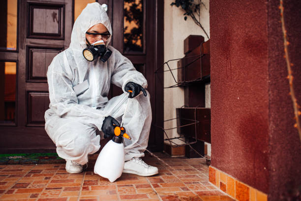 Reliable Bed Bug Control contractor in Jackson, TN by Nex Pest Control